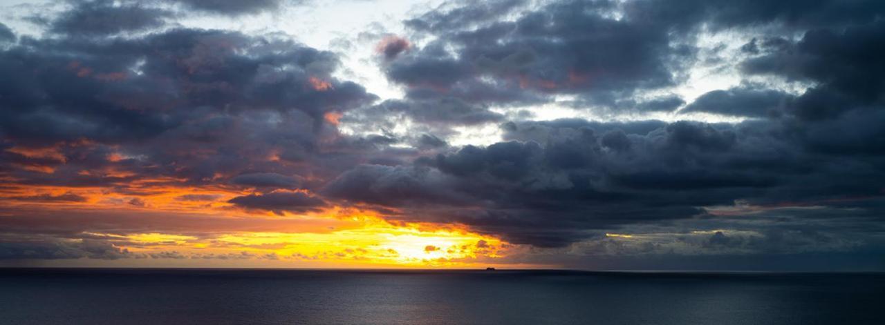 Shearwaters - Sounds Of The Sea Apartment Funchal (Madeira)