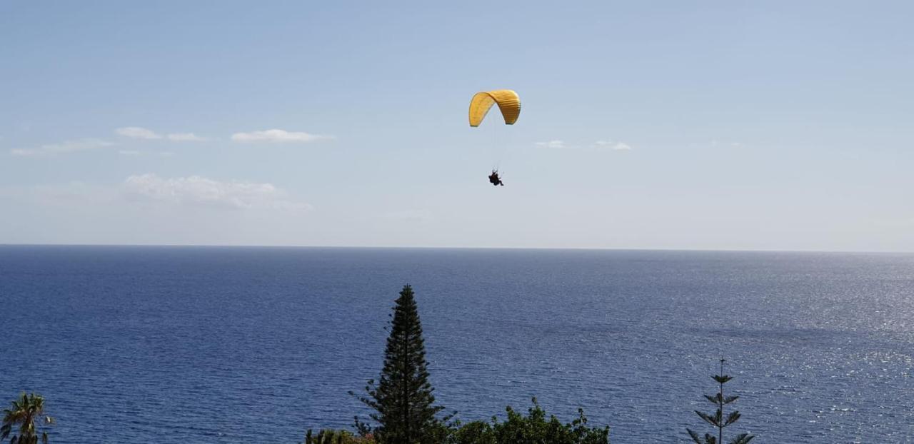 Shearwaters - Sounds Of The Sea Apartment Funchal (Madeira)