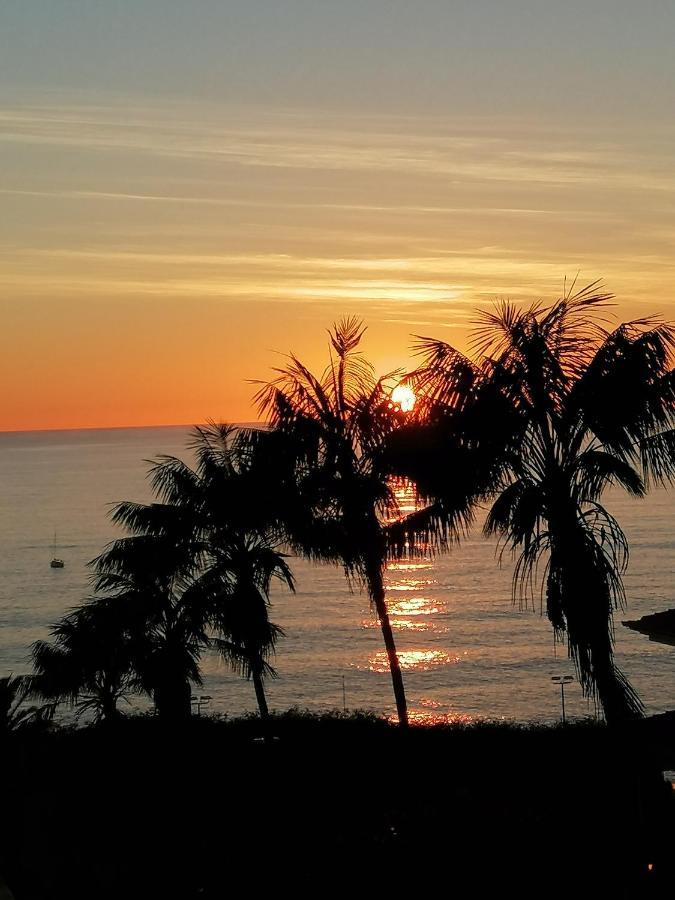 Apartment Shearwaters - Sounds Of The Sea *