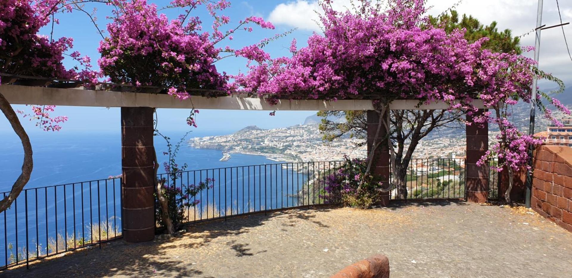 Apartment Shearwaters - Sounds Of The Sea Funchal (Madeira)