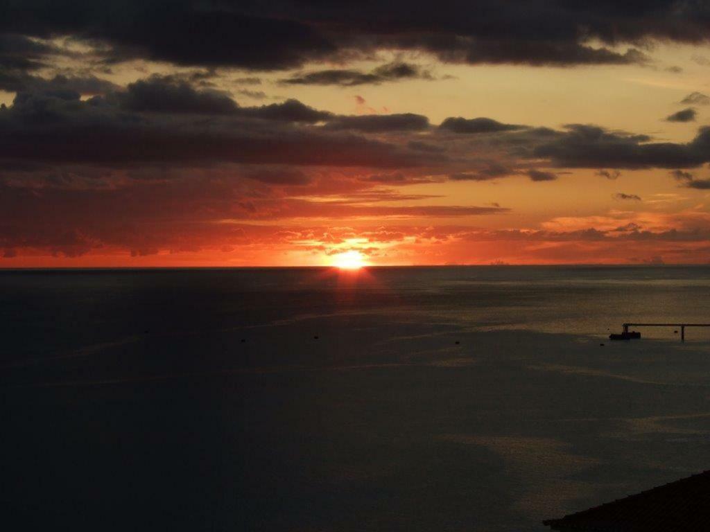 Shearwaters - Sounds Of The Sea * Funchal (Madeira)