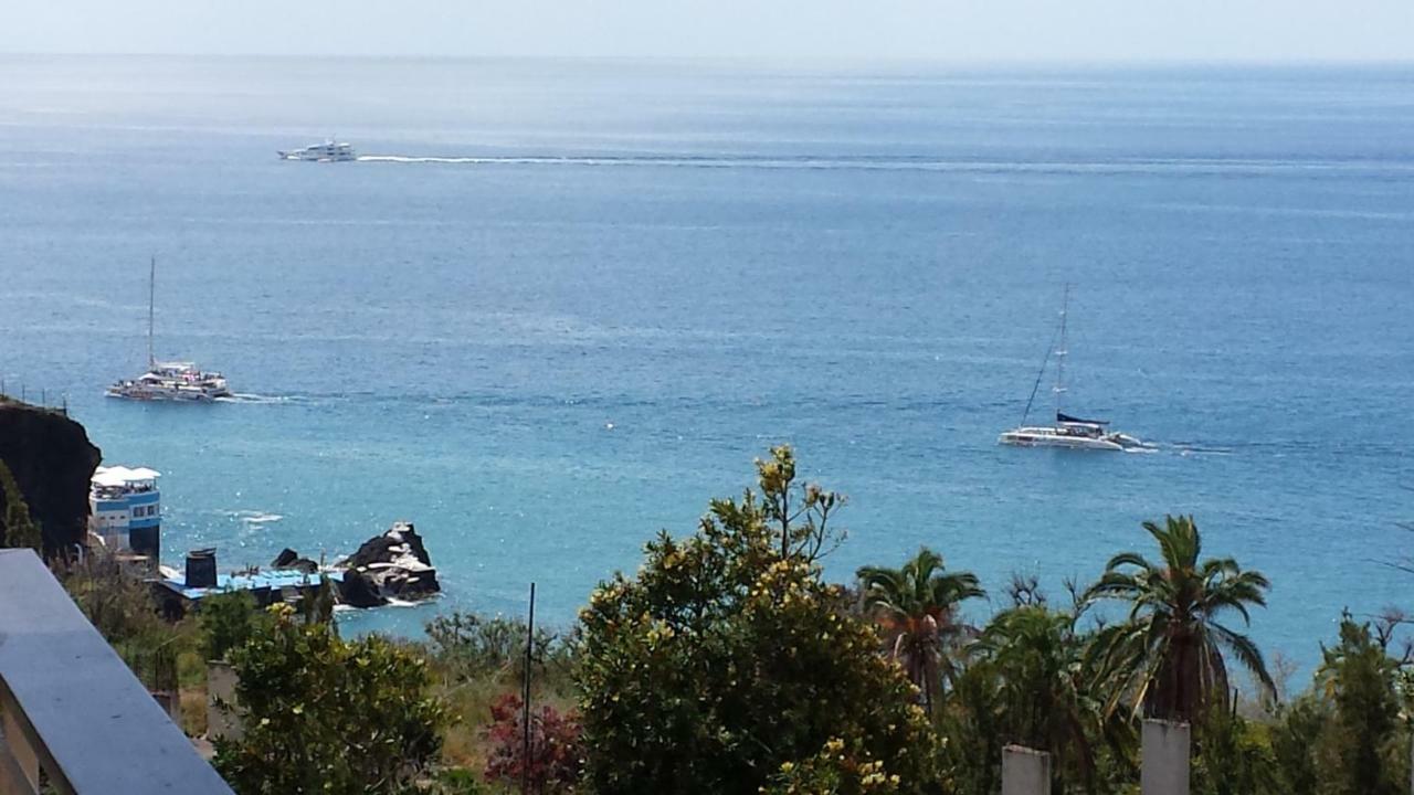 Shearwaters - Sounds Of The Sea * Funchal (Madeira)