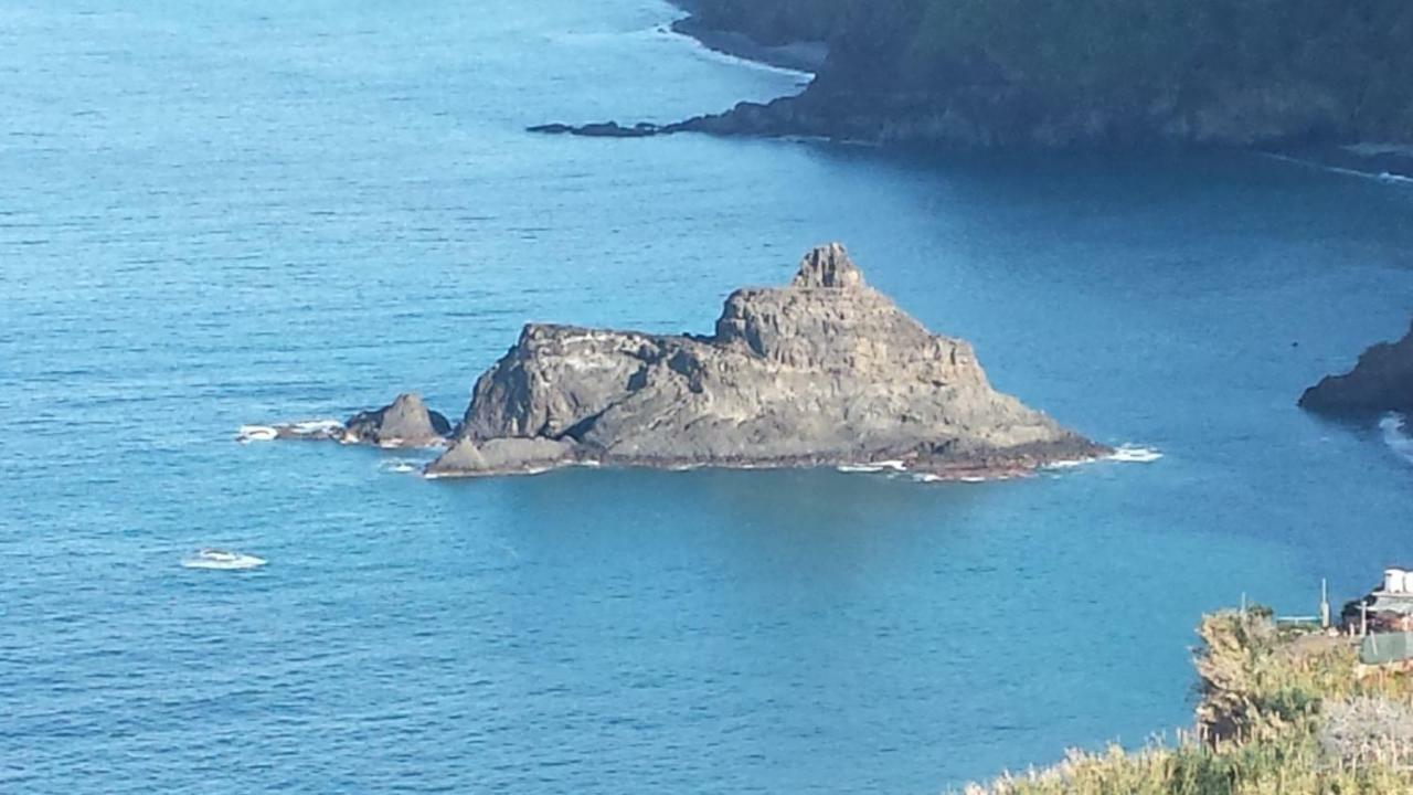 Shearwaters - Sounds Of The Sea * Funchal (Madeira)